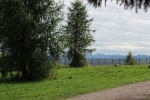 IMG 0239 IMG 0239