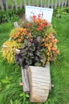 IMG 0245 IMG 0245