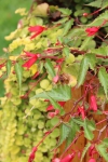IMG 0248 IMG 0248