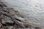 IMG 0265 IMG 0265