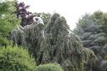 IMG 0288 IMG 0288