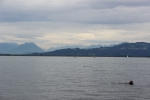 IMG 0317 IMG 0317