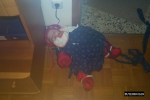Bild-0000344 Bild-0000344