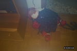 Bild-0000347 Bild-0000347