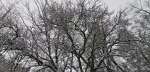 IMG 20210103 103854