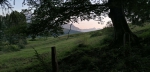 IMG 20210811 194301 IMG 20210811 194301