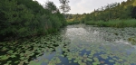 IMG 20210812 185343