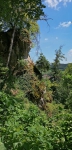 IMG 20200612 131101