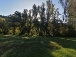 IMG 20191012 103135 IMG 20191012 103135