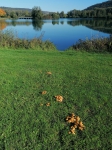 IMG 20191012 103830 IMG 20191012 103830