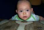 Bild-0002661 Bild-0002661
