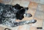 Bild-0002523 Bild-0002523