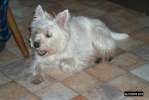 Bild-0002525 Bild-0002525