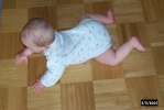 Bild-0002781 Bild-0002781