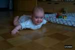 Bild-0002786 Bild-0002786