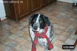 Bild-0002813 Bild-0002813