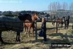 Bild-0002881 Bild-0002881
