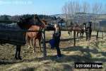 Bild-0002882 Bild-0002882