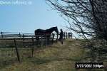 Bild-0002885 Bild-0002885