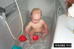 Bild-0001229 Bild-0001229