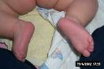 Bild-0001238 Bild-0001238