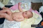 Bild-0001245 Bild-0001245