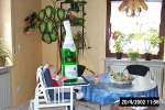Bild-0001247 Bild-0001247