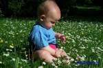 Bild-0002975 Bild-0002975