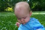 Bild-0002984 Bild-0002984
