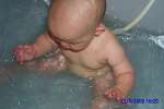 Bild-0003113 Bild-0003113
