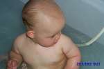 Bild-0003114 Bild-0003114