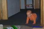 Bild-0002718 Bild-0002718