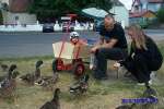 Bild-0002741 Bild-0002741