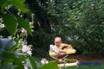 Bild-0002666 Bild-0002666