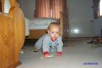 Bild-0001290 Bild-0001290