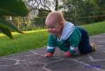 Bild-0001316 Bild-0001316