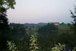 Bild-0001328 Bild-0001328