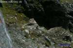 Bild-0001425 Bild-0001425
