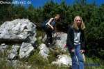 Bild-0001487 Bild-0001487