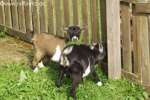 Bild-0001594 Bild-0001594