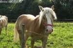 Bild-0001601 Bild-0001601