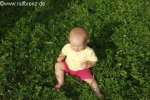 Bild-0001619 Bild-0001619
