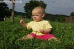 Bild-0001626 Bild-0001626