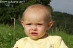 Bild-0001628 Bild-0001628