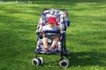 Bild-0001648 Bild-0001648