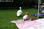 Bild-0001671 Bild-0001671