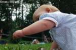 Bild-0001688 Bild-0001688
