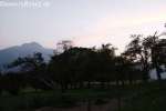 Bild-0001733 Bild-0001733