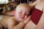 Bild-0001794 Bild-0001794