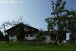 Bild-0001806 Bild-0001806